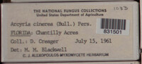 Image Associated With the Occurence